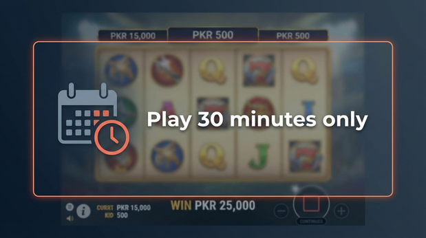 Payment and PKR controls in halalspin